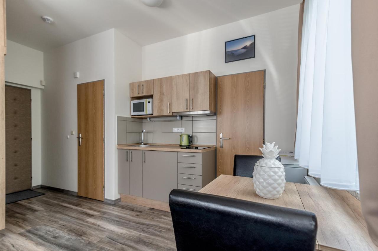 צ'סקה בודיוביצה Modern Fully Equipped Studio With Parking Zavadilka 2620 מראה חיצוני תמונה